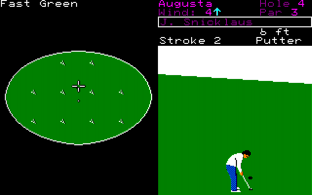 World Tour Golf (PC-98) screenshot: This is the view when putting