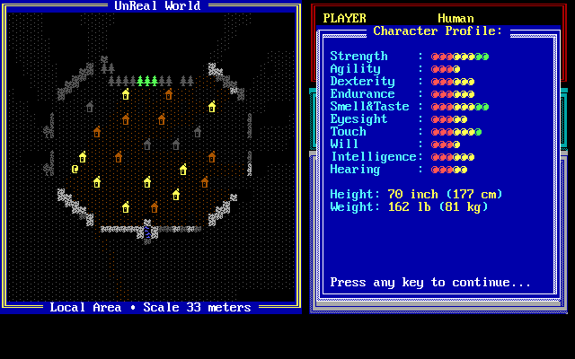 UnReal World (DOS) screenshot: Viewing character stats.