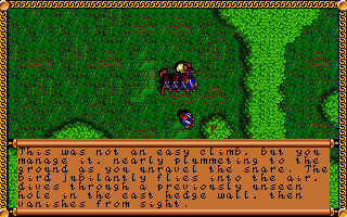 J.R.R. Tolkien's The Lord of the Rings, Vol. I (DOS) screenshot: You finally leave the Shire and begin to explore the Old Forest. Use your skills wisely and you'll be able to complete such optional little quests - and skip huge and rather annoying areas!..