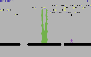 Kaktus (Commodore 64) screenshot: Above ground