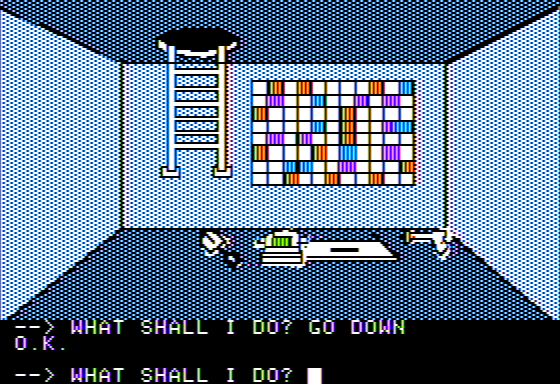 Scott Adams' Graphic Adventure #6: Strange Odyssey (Apple II) screenshot: My Storage Room