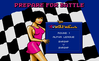Wild Wheels (DOS) screenshot: Level 1 Intro (VGA).