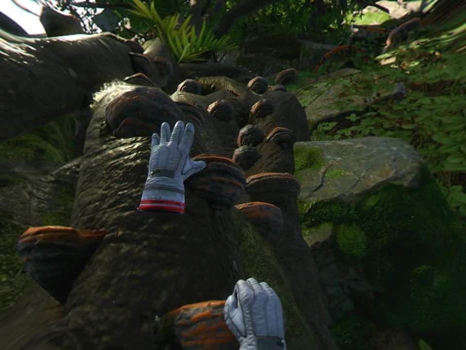 Robinson: The Journey (PlayStation 4) screenshot: Climbing
