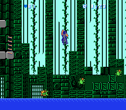 Bats & Terry (NES) screenshot: Climbing a set of vines, the climbing controls are very slippery in this game, it's quite easy to fall off