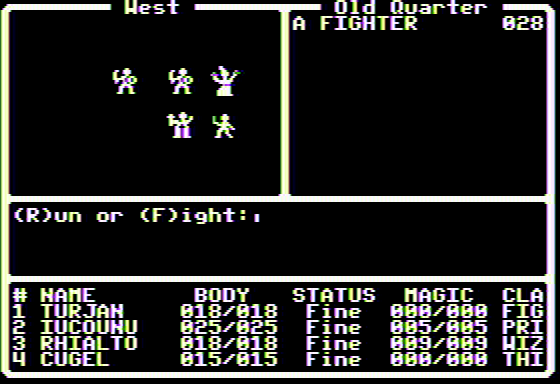Dark Designs IV: Passage to Oblivion (Apple II) screenshot: Menaced by a fighter