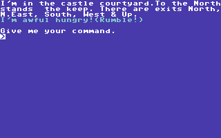 Adventures of Barsak the Dwarf (Commodore 64) screenshot: In a castle courtyard