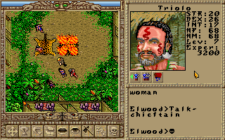 Worlds of Ultima: The Savage Empire (DOS) screenshot: The village where the game starts. Displaying the first person who joins you on your quest. Now who does he remind you of?..