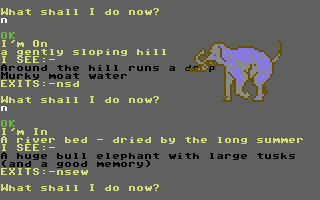 Animal Magic (Commodore 64) screenshot: Came across a Bull elephant