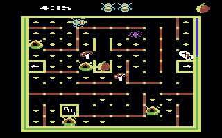 Bumble Bee (Commodore 64) screenshot: Avoid the spider