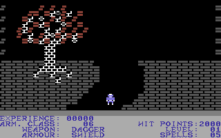 Sword of Kadash (Commodore 64) screenshot: Start of game