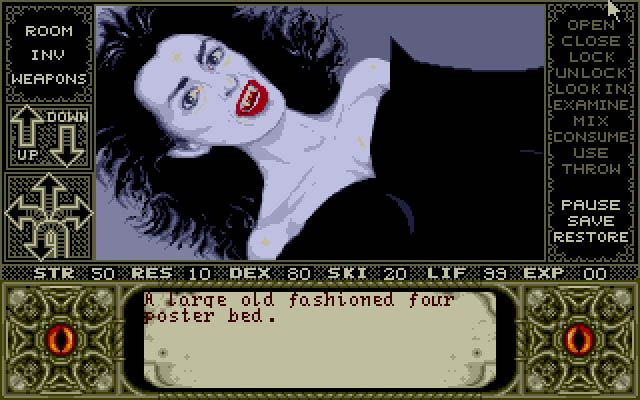 Elvira (DOS) screenshot: Have you brought a wooden stick ?