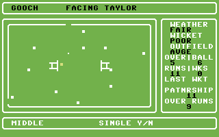 Cricket Master (Commodore 64) screenshot: The field of play