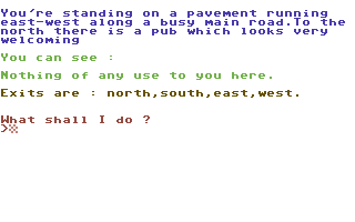 Pub Quest (Commodore 64) screenshot: Start of your quest