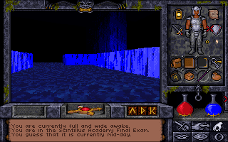Ultima Underworld II: Labyrinth of Worlds (DOS) screenshot: Uh-oh, this is worse than Yakutsk, Republic of Sakha. I feel so lonely in this deep blue water, with blue ice surrounding me...