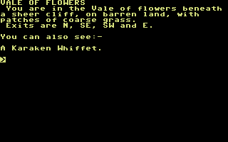 The Bounty Hunter (Commodore 64) screenshot: You are in The Vale of Flowers