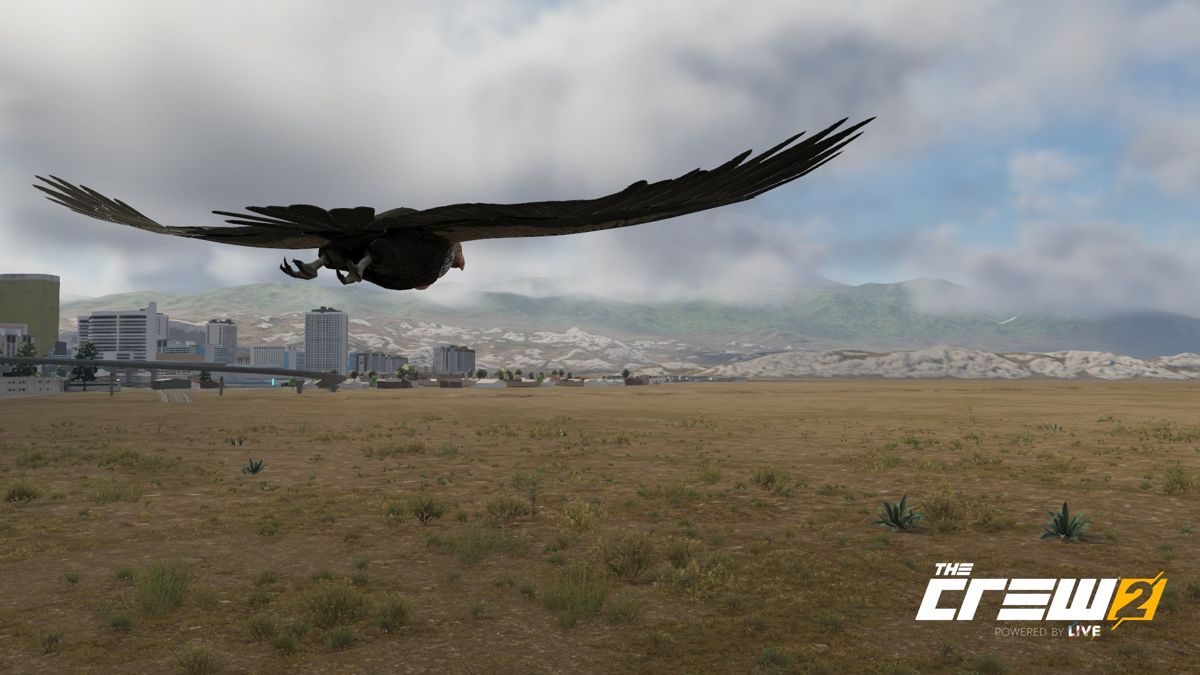 The Crew 2 (PlayStation 4) screenshot: An Eagle soaring in the sky. (Photo Mode)