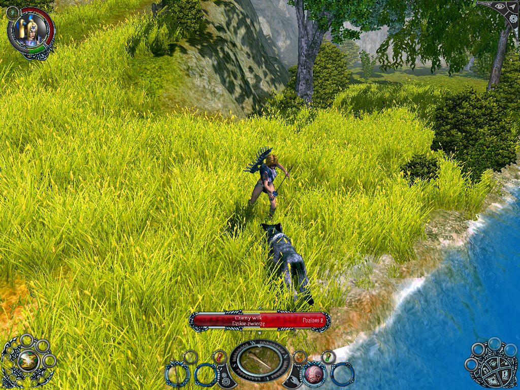 Sacred 2: Fallen Angel (Windows) screenshot: Fight near river