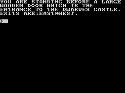 Castle of Skull Lord (ZX Spectrum) screenshot: Standing before a large wooden door of the Dwarves' Castle.