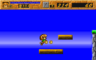 Reon-ui Moheom (DOS) screenshot: Jumping to collect some gold rings.