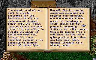 Pagan: Ultima VIII (DOS) screenshot: There are quite a few books to be found in this game. This one describes some spell-related material