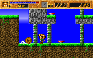 Reon-ui Moheom (DOS) screenshot: Squirrels have this Metroidball-like charging attack.