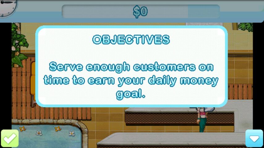 Sally's Spa (Android) screenshot: Objectives