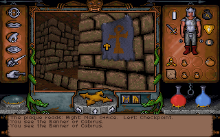 Ultima Underworld: The Stygian Abyss (DOS) screenshot: These banners indicate friendly settlements in the abyss