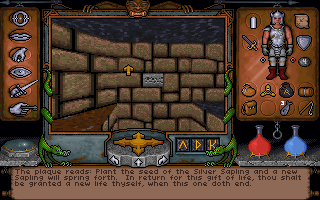 9812732-ultima-underworld-the-stygian-abyss-dos-ahh-reading-plaques-in-a.png