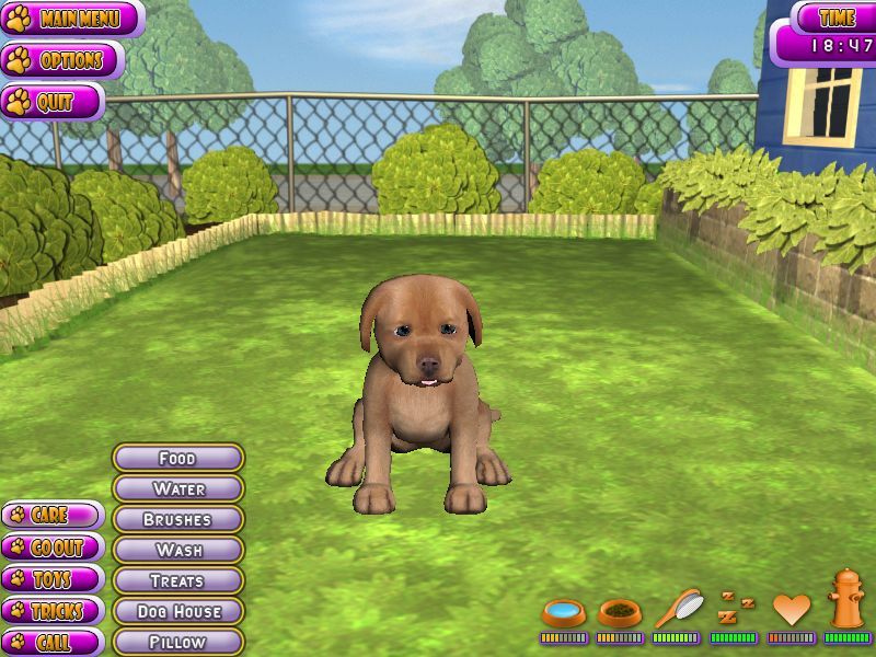 Puppy Luv: A New Breed (Windows) screenshot: The gamer goes to the Care menu. Food is there on the top of the new list