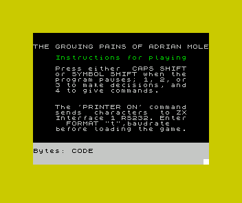 The Growing Pains of Adrian Mole (ZX Spectrum) screenshot: The rather formal loading screen