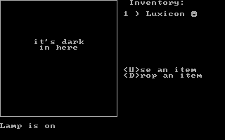 Fue (DOS) screenshot: I get the feeling that something more is needed. Even with the lamp on the screen stays dark