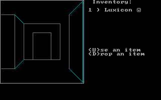 Fue (DOS) screenshot: In the early stages there's not a lot to see, just a bewildering array of walls, doors and corridors