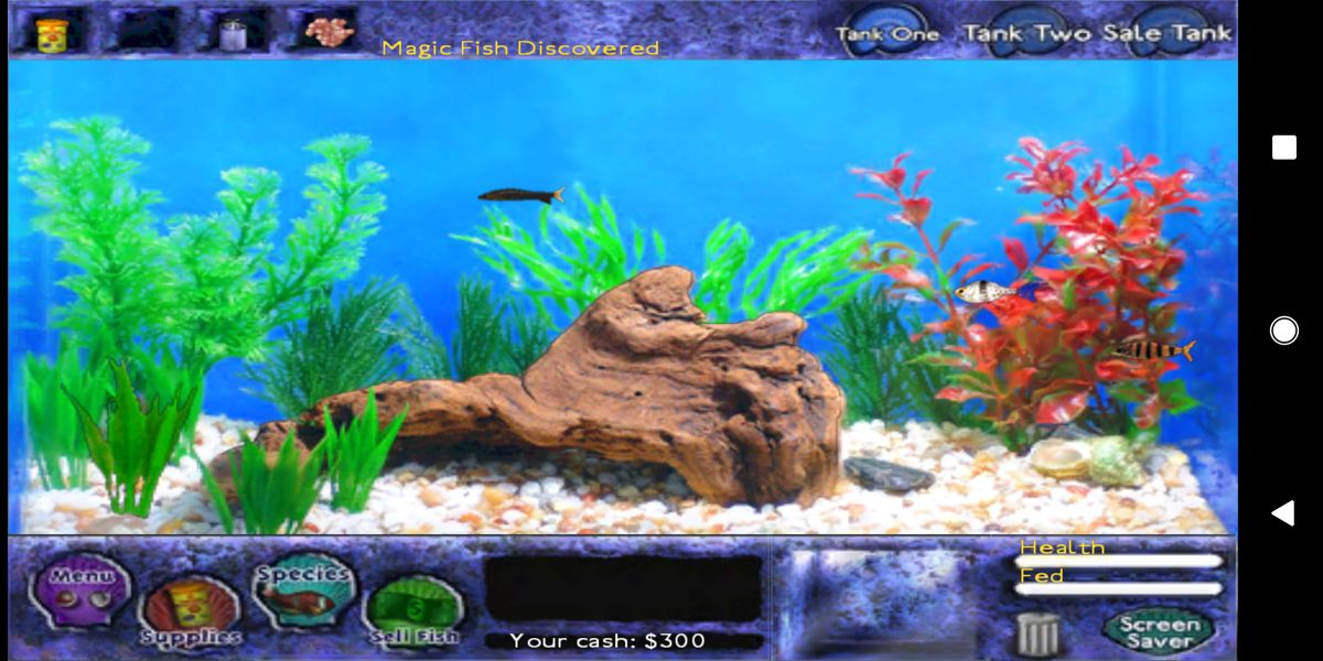 Fish Tycoon (Android) screenshot: The fish tank at the very beginning