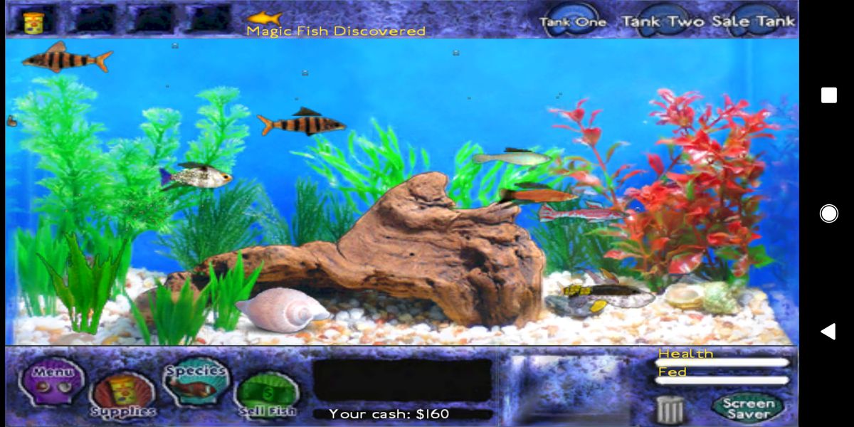 Fish Tycoon (Android) screenshot: The fish tank a bit further in the game