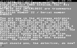The Witness (Commodore 64) screenshot: Start of your investigation