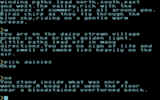 Black Knight Adventure (Commodore 64) screenshot: Found a body in a workshop
