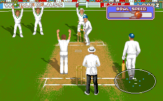 Battle for the Ashes (DOS) screenshot: Looks like he's been clean bowled