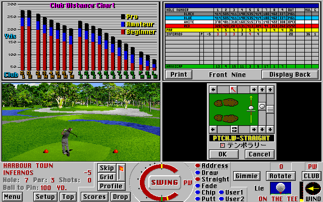 Links 386 Pro (PC-98) screenshot: Quarter view