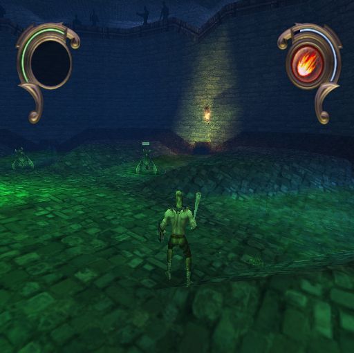 Warriors of Might and Magic (PlayStation 2) screenshot: The pit has these green things in it. They move slowly and are easy to defeat