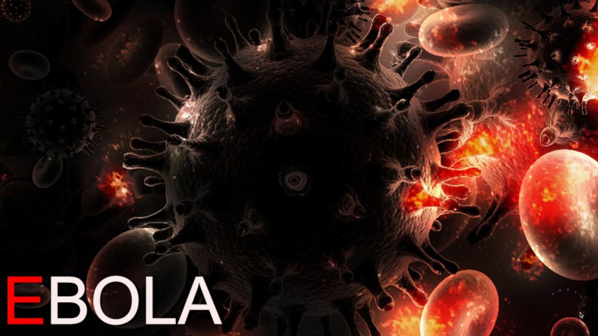 Ebola (Windows) screenshot: Title screen