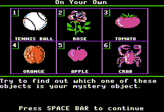 Mystery Objects (Apple II) screenshot: Which Object